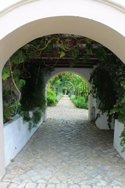 Quinta De Sao Lourenco Exteriör bild